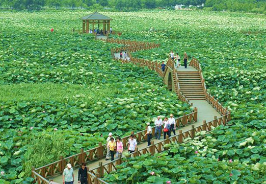 Floating Bridge